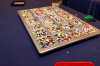 Clinical Summit Children Program-9