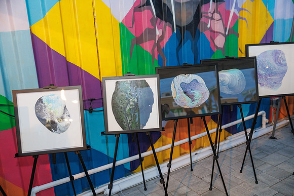 Liz Imagine Healing Art Launch 2025-2