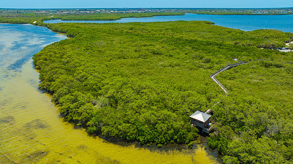 Janina NPR Portraits Aerial & Ground May 2025-44