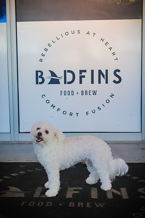 Badfins July-12