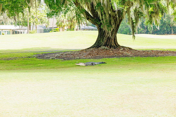 HCHMA Tee Off for Tourism 2024-34