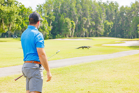 HCHMA Tee Off for Tourism 2024-35