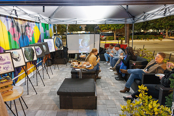 Liz Imagine Healing Art Launch 2025-16