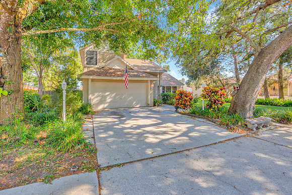 Sean Comito 10322 Turkey Oak Dr-47