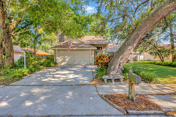 Sean Comito 10322 Turkey Oak Dr-48