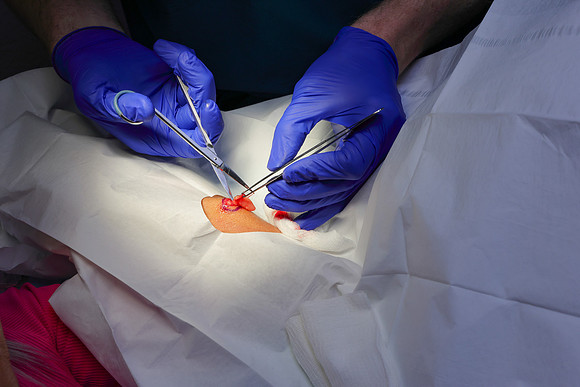 Suncoast Skin Dr. Doengers Marketing-16