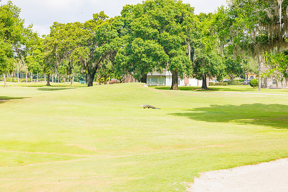 HCHMA Tee Off for Tourism 2024-33