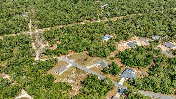 Korey 13060 Hornbill Rd-15