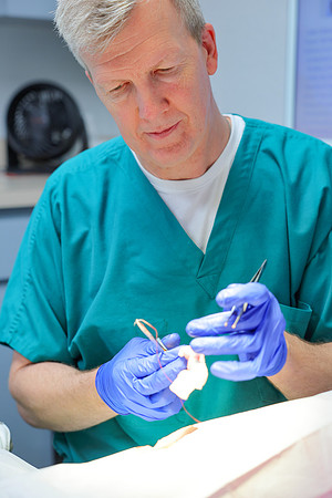 Suncoast Skin Dr. Doengers Marketing-61
